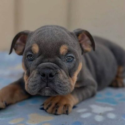 WhatsApp Image 2026-02-13 at 07.16.47 (1)