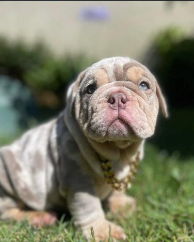 WhatsApp Image 2026-02-13 at 07.27.05