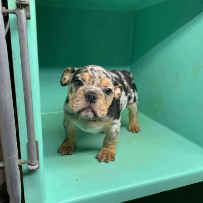 WhatsApp Image 2026-02-13 at 09.59.42